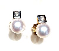 Ohrringe Dame Collezione Perle in Gelbgold Perla AOP26353